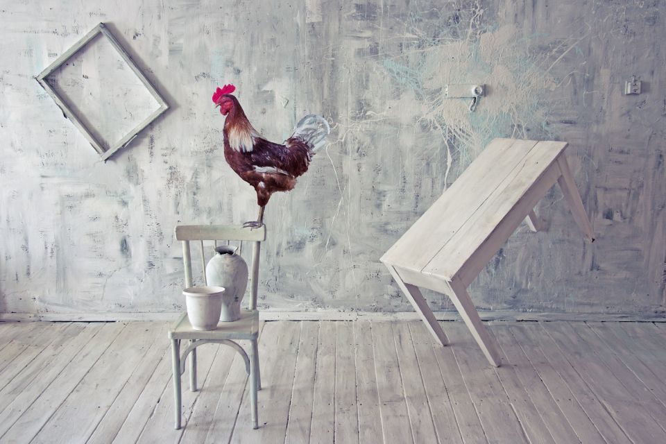 Brand positioning in a simple way 